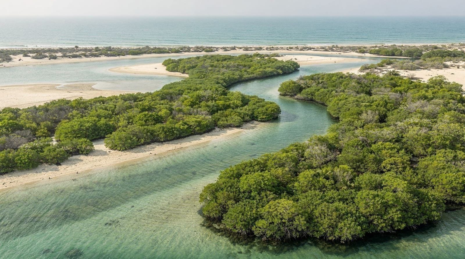 Sustainable travel in Abu Dhabi: what's real, what's greenwashing