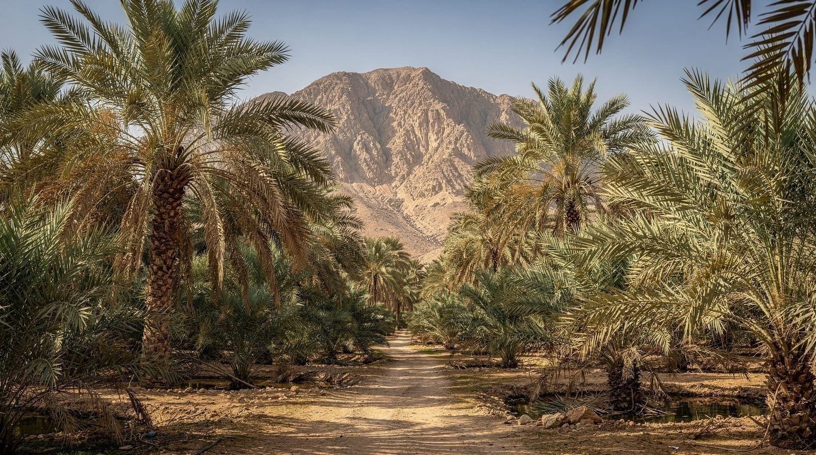 Al Ain