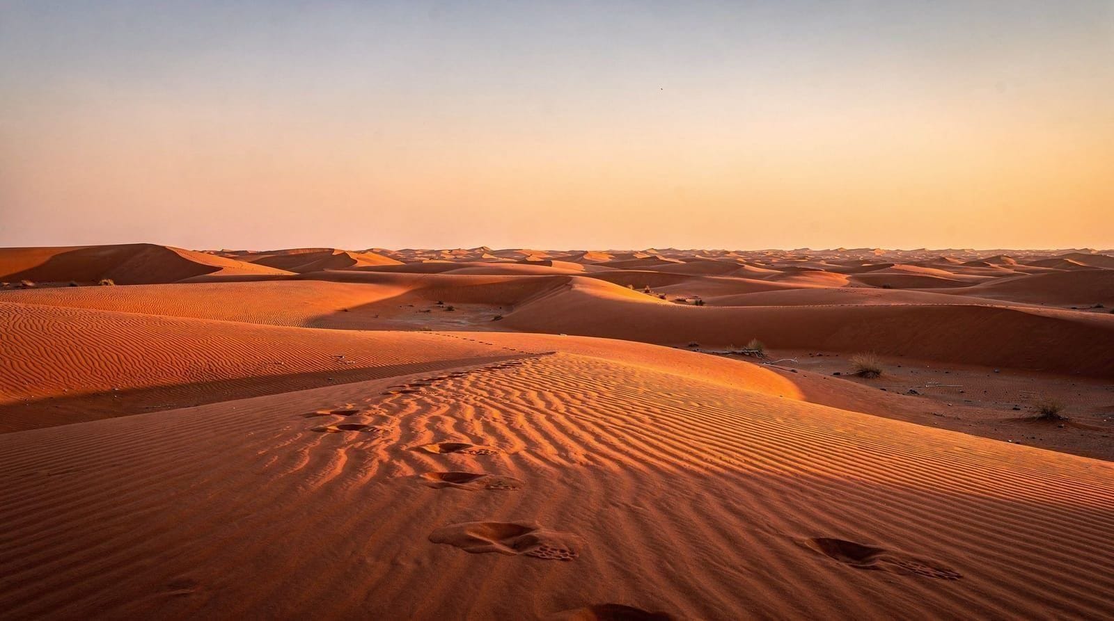 Al Dhafra