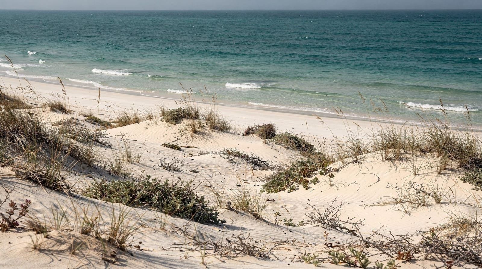 Saadiyat Beach: The Complete Guide to Abu Dhabi's Best Coastline
